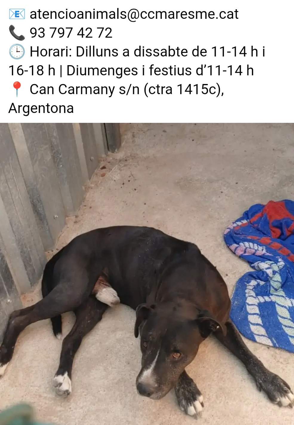 se busca a su familia
