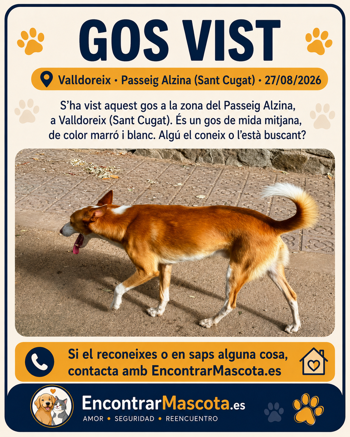 Perro en difusión