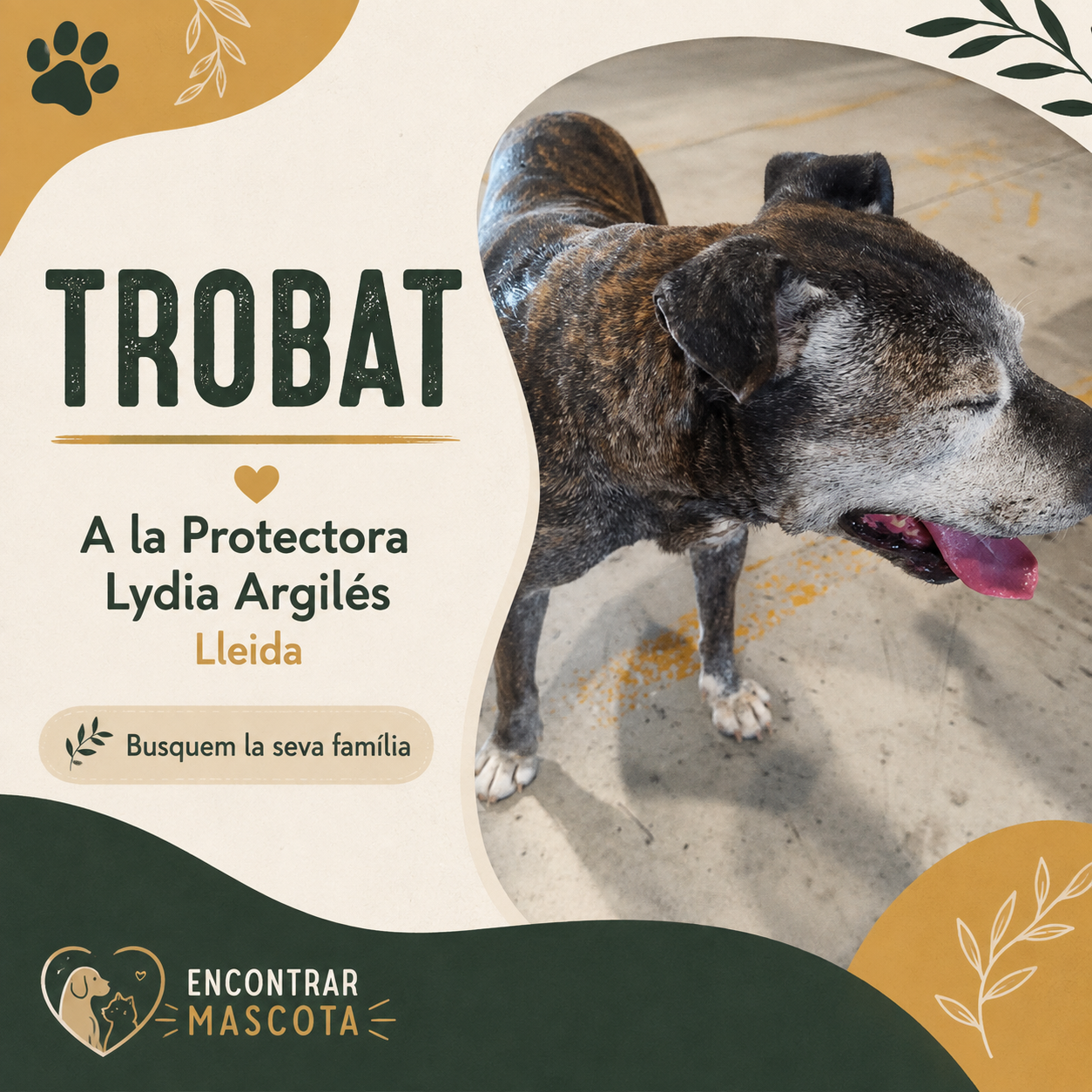 Protectora Lydia Argiles