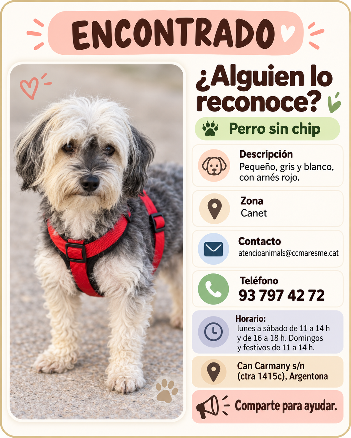 Perro en difusión
